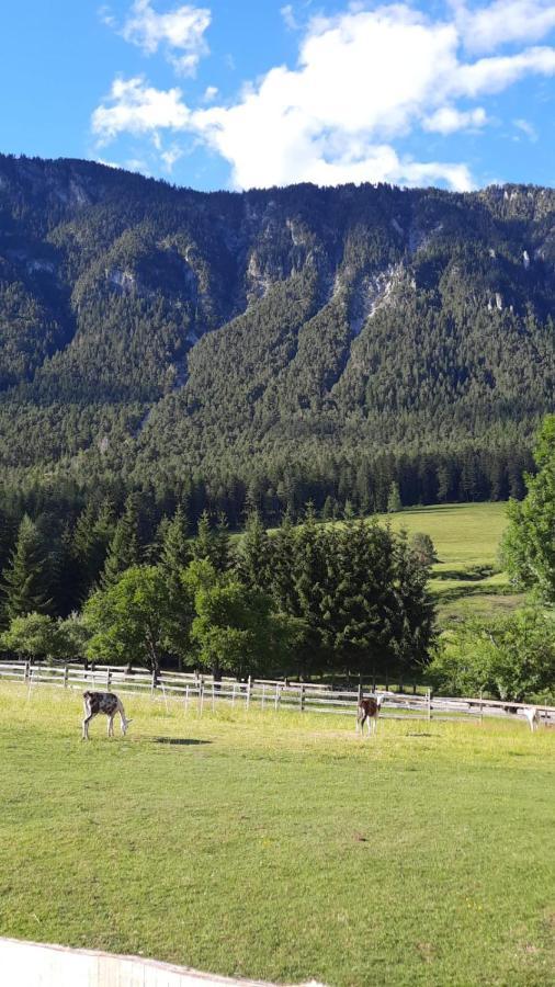 Naturidyll Brunner Daire Kostendorf Dış mekan fotoğraf