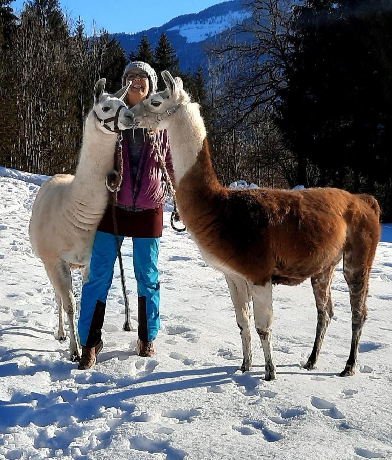 Naturidyll Brunner Daire Kostendorf Dış mekan fotoğraf