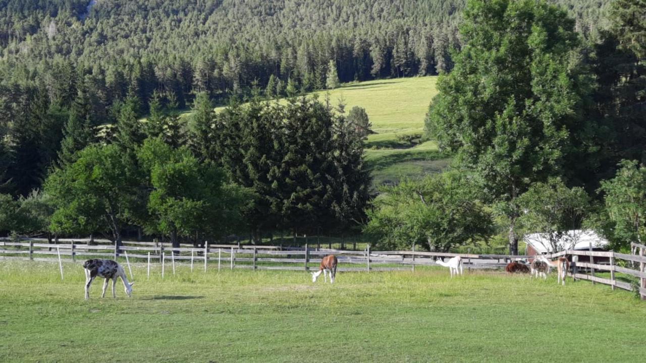 Naturidyll Brunner Daire Kostendorf Dış mekan fotoğraf